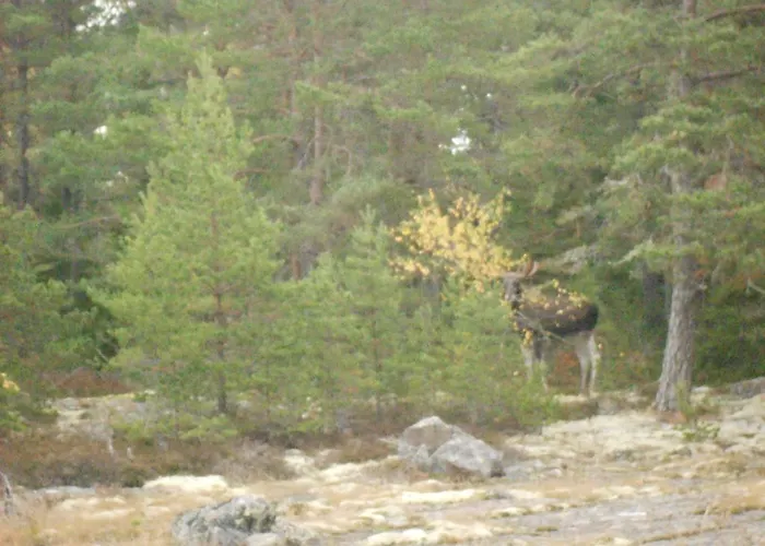 Tornvillan Вилла *